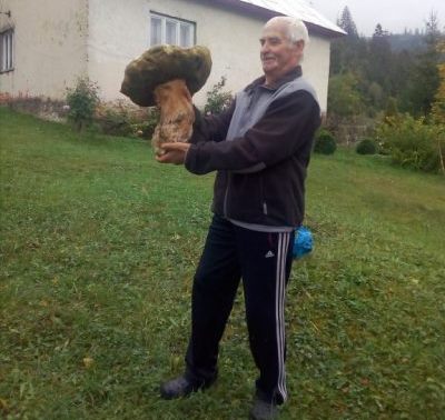 На Закарпатті чоловік знайшов гриб вагою майже в 4 кілограми.