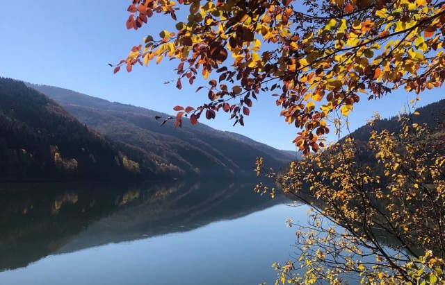 У закарпатців з'явилось своє "море": на Закарпатті створили ландшафтний заказник