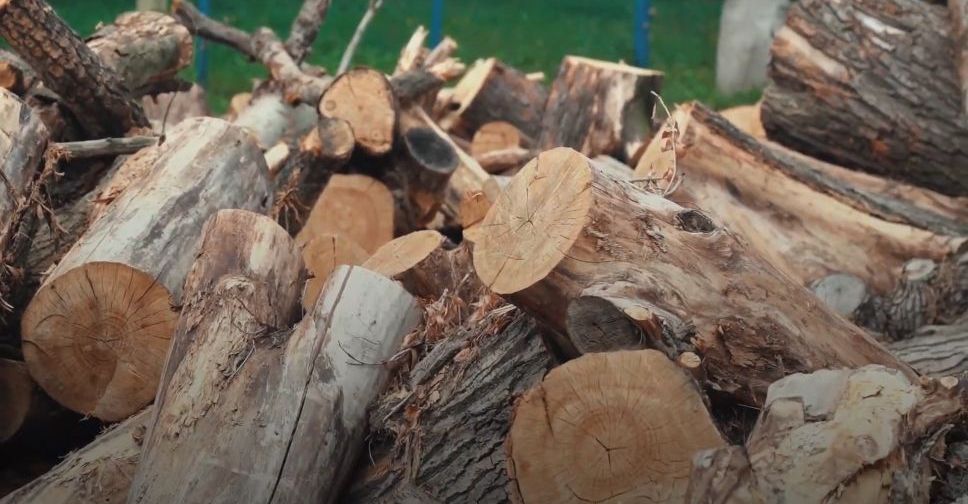 Опалювальний сезон на порозі, але під загрозою зриву через обстріли окупантів. Тому попит на дрова зростає. Відтак, багатьох цікавить запитання: чи можна збирати дрова в лісі, не вирубуючи дерева?