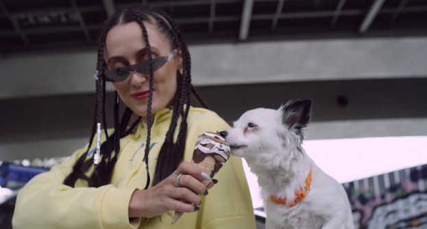 Закарпатська співачка  Alina Pash знялась у соціальній рекламі про адопцію безпритульних тварин (ВІДЕО)
