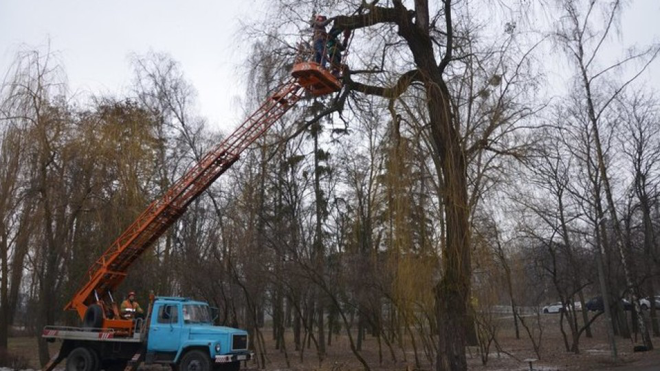 Движение будет ограничено из-за вырубки аварийных деревьев на улице Ужанской. Об этом сообщается в Facebook.