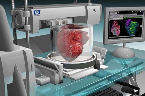 Учені з університету Тель-Авіва надрукували живе серце з людських тканин на 3D-принтері. Воно розміром з ягоду і може підійти кролю.