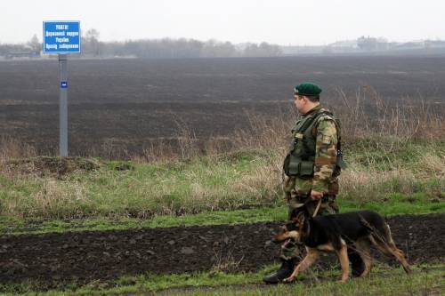 Закарпатские пограничники задержали нелегалов из грузии