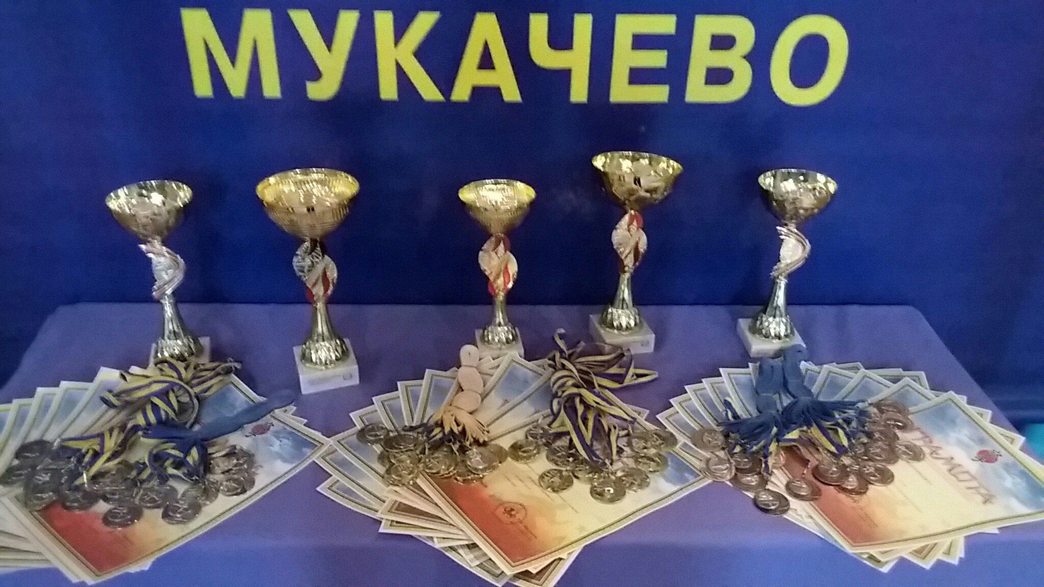 Чемпіонат з Шотокан карате-до, що днями пройшов у місті Мукачево, зібрав близько 100 учасників різних категорій.
