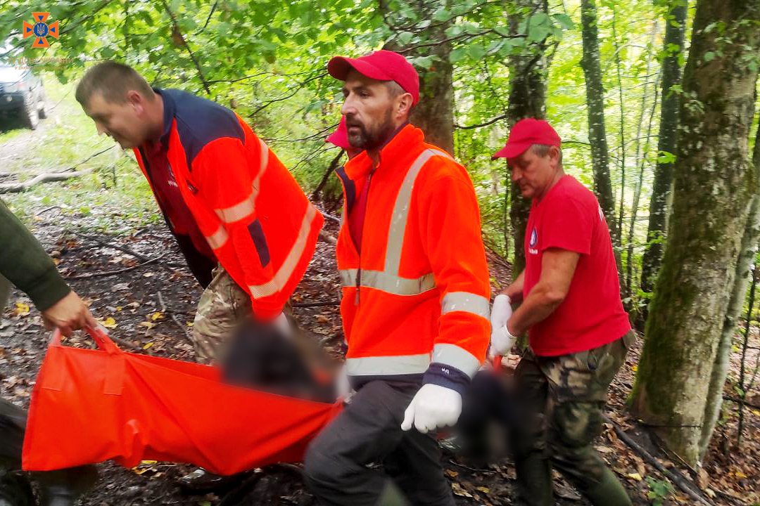 Трагічний фінал: на Закарпатті у лісі знайшли тіло 67-річного чоловіка (ФОТО)