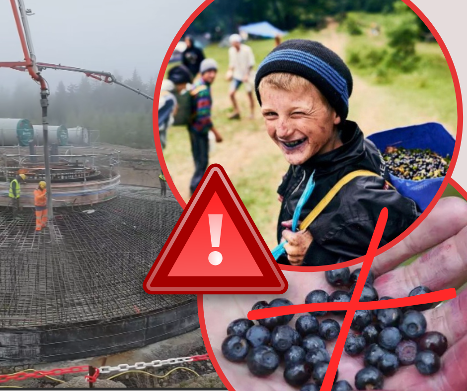 "Чорний смарагд" України під бетонною стяжкою: "бетонують" вершину у Закарпатській громаді (ВІДЕО)