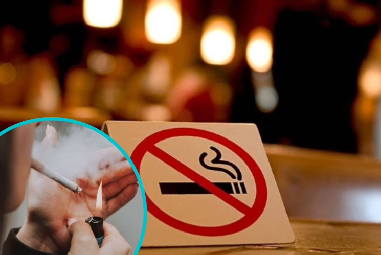 До розгляду були подані дві правки, які мали скасувати заборону на куріння в громадських місцях.