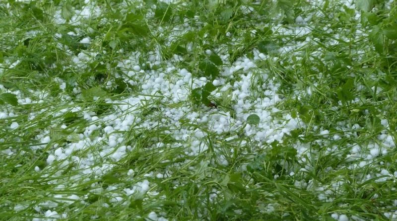 Град та буревій в Румунії знищили урожай на півдні країни. Льодовий покрив сягнув 10 см.

