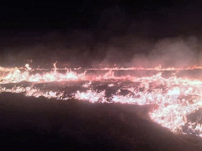 С начала марта двое поджигателей сухой травы на Закарпатье поплатились собственной жизнью.