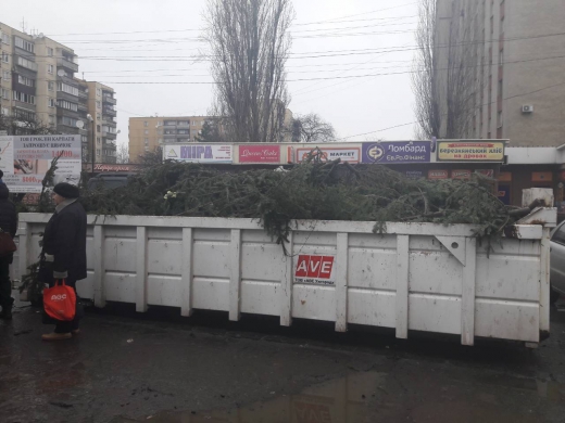 Ситуація, що склалася навколо покинутих продавцями лісових красунь на одному з ужгородських ринків напередодні Нового року, збурила громадськість.