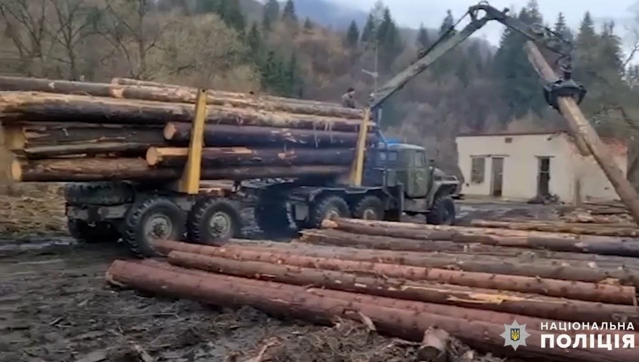 Поліція Закарпаття припинила незаконну заготівлю деревини та вилучила лісопродукції на понад 2 мільйони гривень