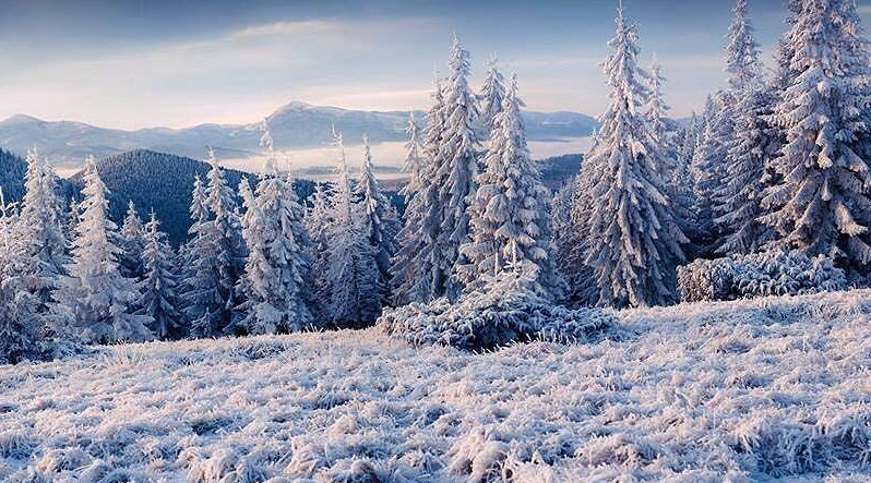 Температура повітря вночі 0-5° морозу, вдень 3-8° тепла, в горах місцями 0-2° морозу.