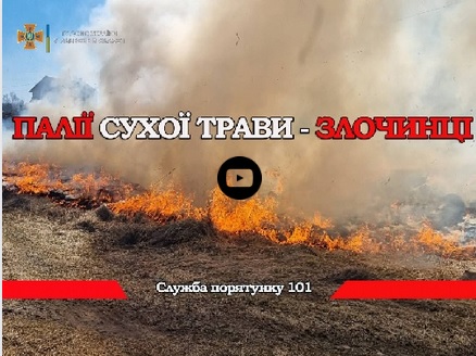 Працівники ДСНС Закарпатської області звернулися до паліїв трави.