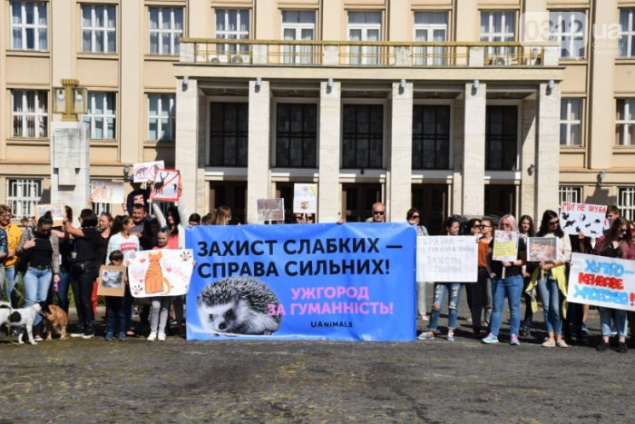 У неділю, 15 вересня, обласний центр Закарпаття втретє долучився до Всеукраїнського маршу за тварин. 