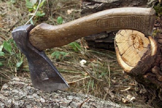 Жителю Перечинского района сообщено о подозрении в совершении незаконной порубки деревьев, совершенной на территории леса, что причинило существенный вред (ст. 246 УК Украины).