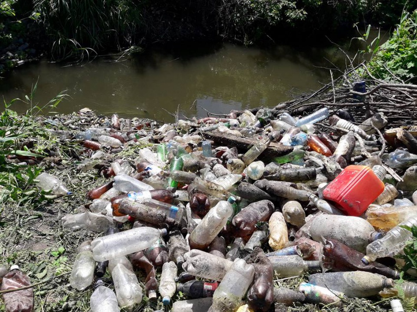 В соцмережах обурені кількістю пляшок та іншого пластику, котрий несе річка Ріка.
