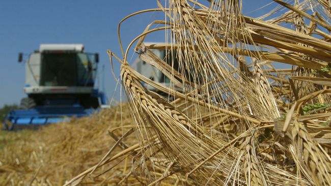 ЕС и ЕБРР запустили в Украине программу поддержки малых и средних сельхозпроизводителей.