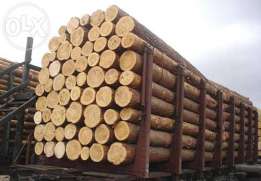 Закон о моратории на экспорт древесных пород сосны в необработанном виде на ближайшие 10 лет, то есть до 1 января 2027 года, вступил в силу с 1 января.