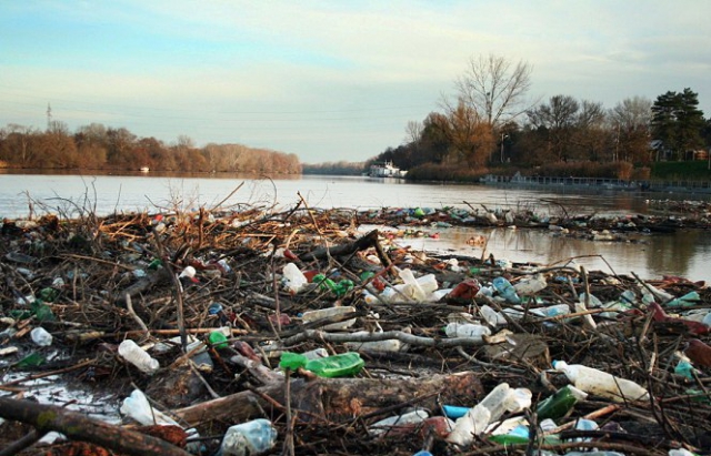 На Закарпатті значну частину сміття скидають прямо в річки.