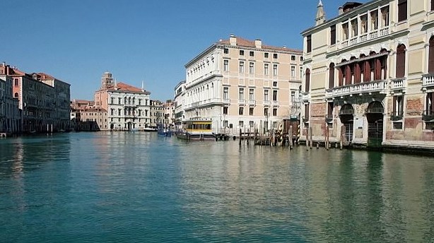 Вода в каналах Венеции стала чище, и в ней появились медузы, через чистую воду видны косяки рыб, а еще по каналам плавают лебеди.