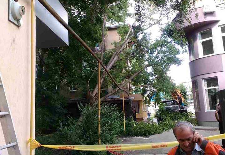 27 липня о 16:14 в оперативно-рятувальну службу надійшло повідомлення про падіння дерева на газопровід низького тиску на вул. Швабській в м. Ужгород. 

