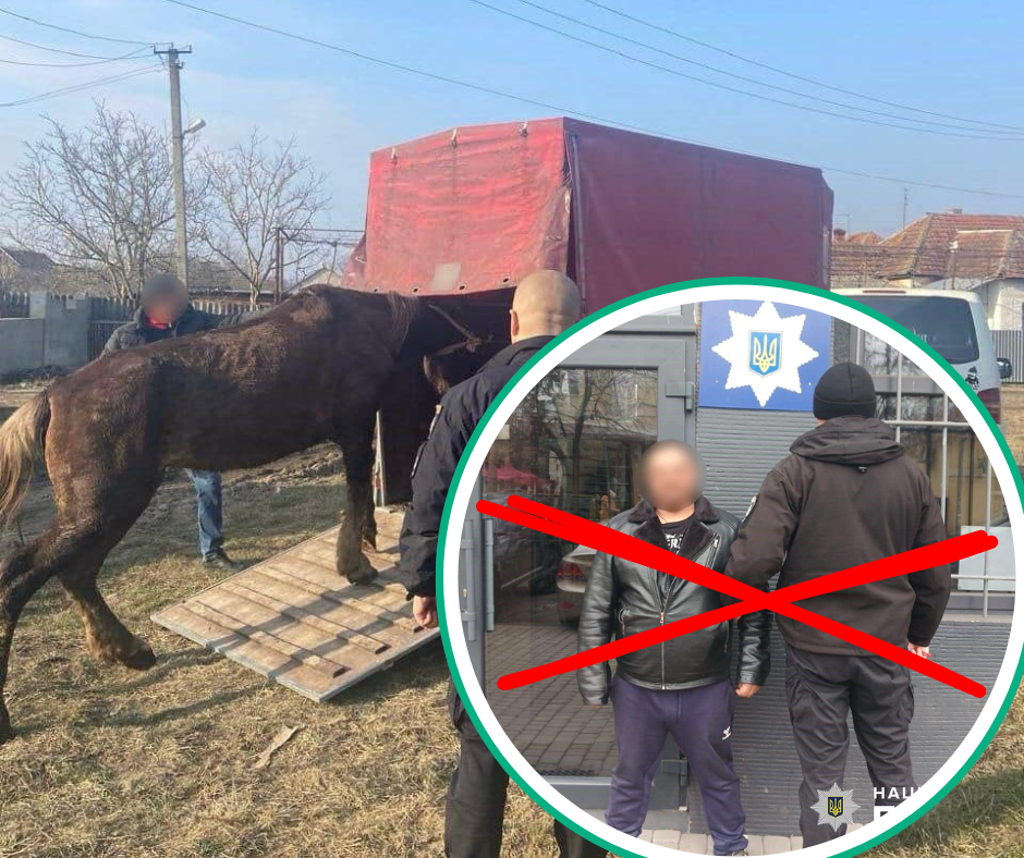 Побитий, але не зламаний: закарпатця підозрюють у жорстокому поводженні з твариною (ФОТО)