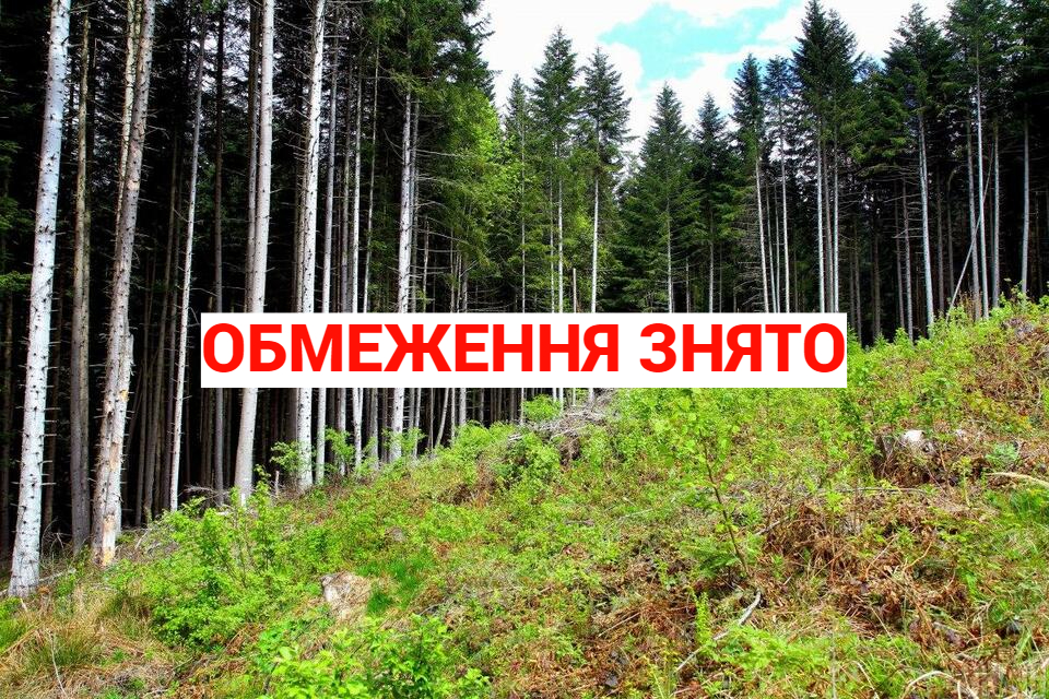 Рада оборони області скасувала заборону на відвідування лісів населенням.