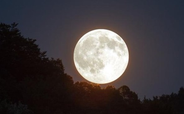 Астрономи відзначають, що спостерігати за повним місяцем краще не в піковий час, а тоді, коли супутник Землі перебуває досить низько над східною частиною горизонту.