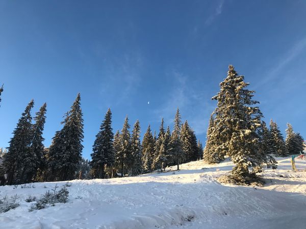 В горах Закарпатья настоящая зима.