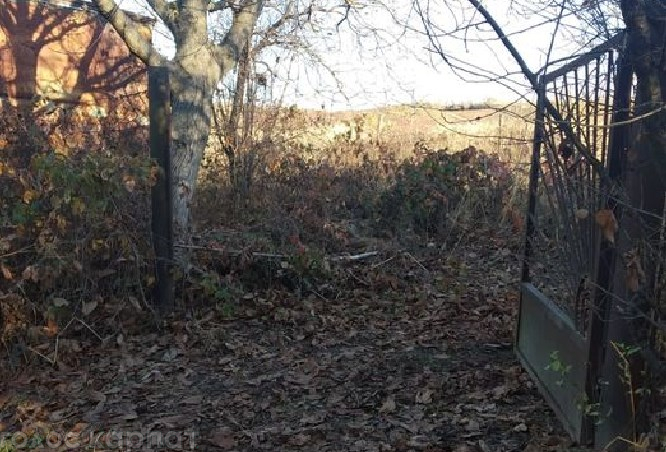 Залізні ворота і стовп, на якому вони трималися, поцупили днями з ділянки Закарпатської обласної сільськогосподарської дослідної станції.