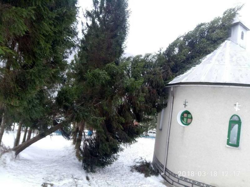 Через сильний вітер на Перечинщині, у селі Полянська Гута, дерево впало на будівлю церкви.


