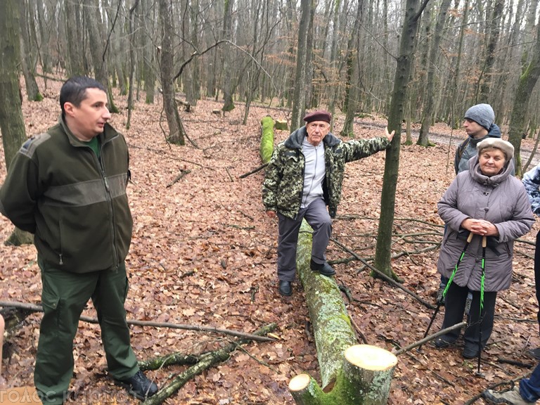 Ужгородською місцевою прокуратурою розпочато досудове розслідування за фактом незаконної порубки лісу у мікрорайоні «Шахта» (ч.1 ст.246 КК України).