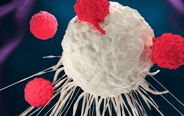 Вчені із Фінляндії вважають, що знизити ризик розвитку раку може придушення молекули Notum.