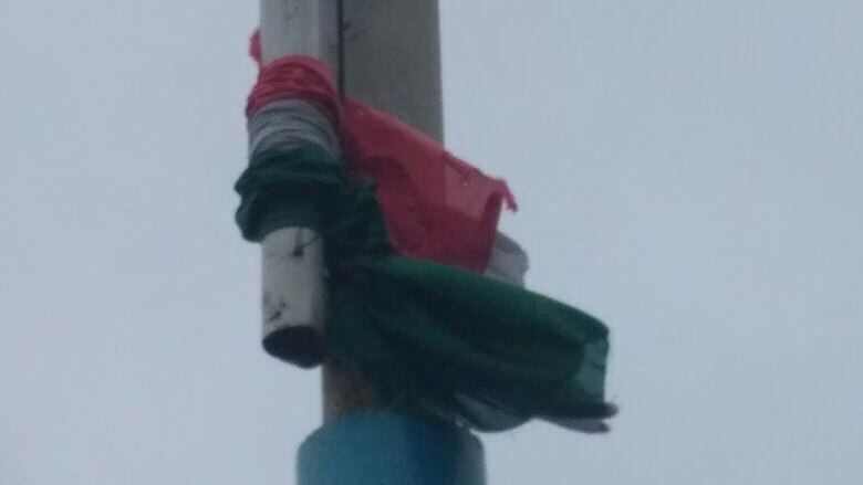 Вблизи Берегово на Закарпатье неизвестные повредили венгерский флаг.
