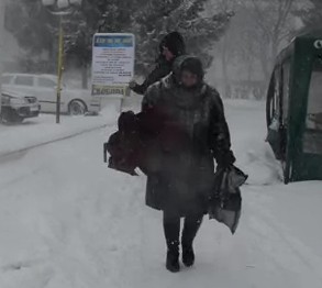 Іршаву замітає снігом / ВІДЕО