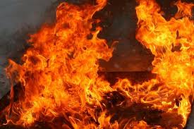 На Закарпатті, на жаль, продовжується ріст пожеж. Так, з початку року в краї вже виникло 1374 пожежі, тоді як за аналогічний період минулого року їх було 522.
