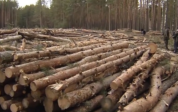 Лісозаготівлі ділової круглої деревини в країні зросли на 23% і наблизилися до 9 млн кубометрів.
