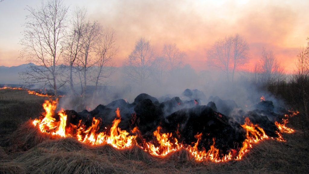 Упродовж чергової доби на території області зафіксовано 5 випадків загорання сухої трави, чагарників та сміття на відкритих територіях.

