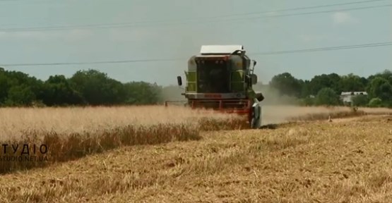 в Закарпатській області вже почалася збиральна кампанія ранніх зернових культур.
