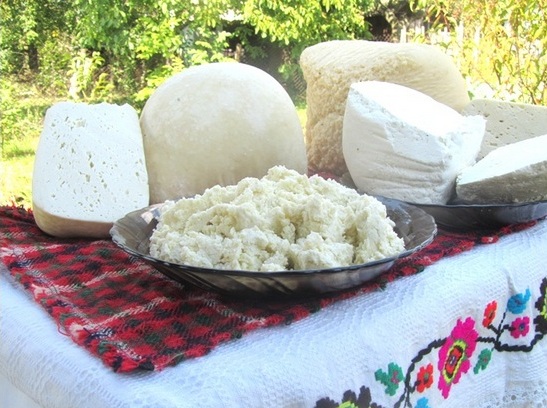 Найвідоміший сир українських Карпат – бринза, це традиційний продукт вівчарства, що для жителів гірського краю завжди був однією з головних складових продуктів харчування.

