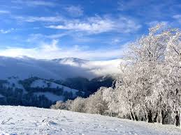 Температура повітря вночі 0-2° тепла, вдень 2-4° тепла.