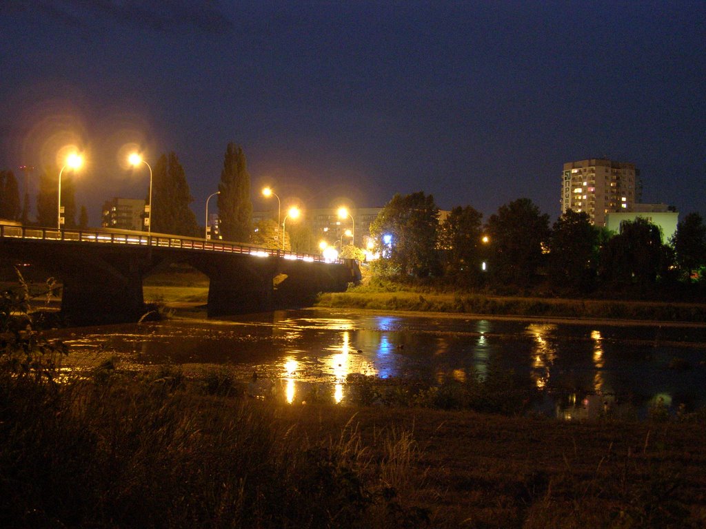 В Ужгороді грабіжник переплив річку, втікаючи після нападу на жінку (ВІДЕО)