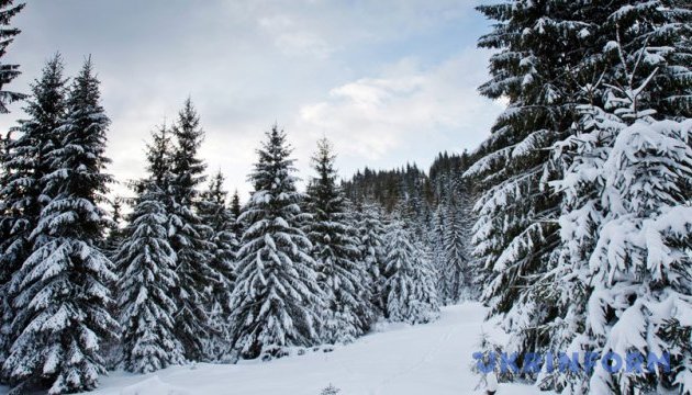 На високогір'ї Івано-Франківської та Закарпатської областей в найближчі дні існує небезпека сходу снігових лавин.

