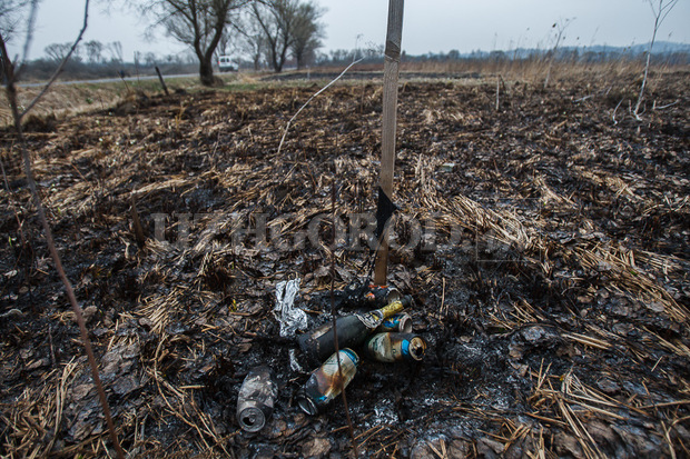 В Карпатском биосферном заповеднике появились пятна выгоревшей травы.