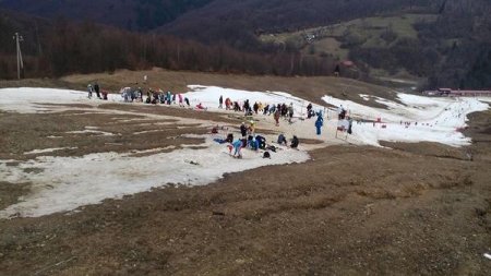 На Закарпатті провели Чемпіонат з гірськолижного спорту без снігу / ВІДЕО