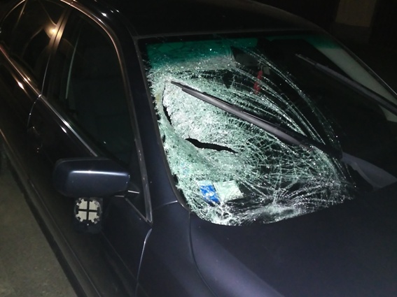 Співробітники Виноградівського відділення поліції встановлюють обставини автомобільної аварії, де «BMW» наїхав на пішохода біля Підвиноградова.
