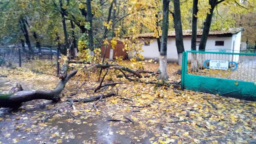 Про те, що дерево впало на паркан ужгородського дитсадка №26, що на Проспекті Свободи, повідомили ужгородці. 