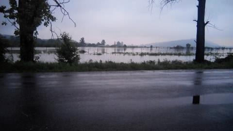 Площа підтоплень на Іршавщині з вчорашнього дня збільшилась в рази. Через паводок перекрито дорогу у Греблі.