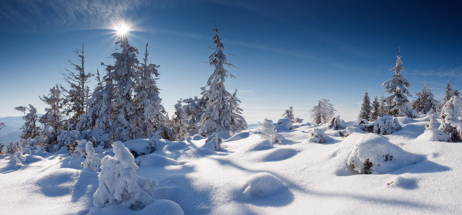 Температура воздуха ночью 1-6° мороза, в горах местами 8-11° мороза, днем 2° тепла - 3° мороза, в горах местами 5-7° мороза.
