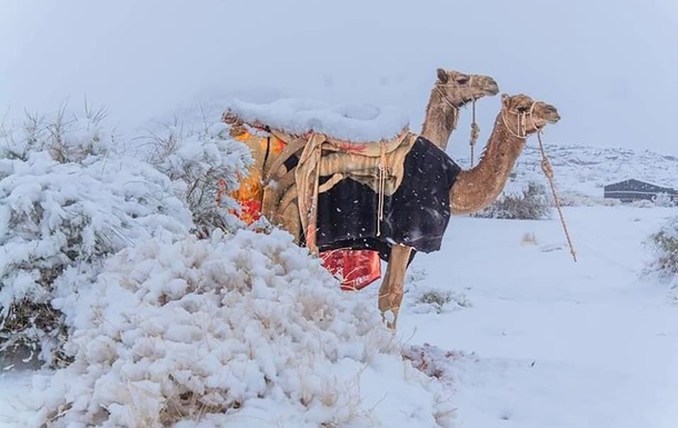 Необычное явление наблюдается в самой большой пустыне мира - Сахаре: там выпал снег. Средняя январская температура там выше 20 градусов, но сейчас упала до мизерных значений.